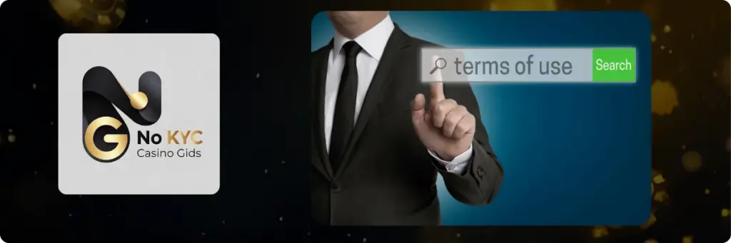Algemene voorwaarden van de website casino no KYC